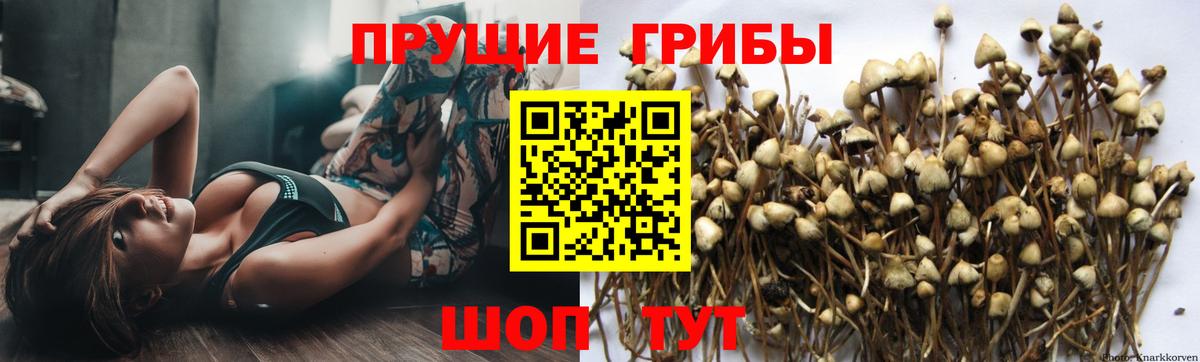 Галлюциногенные грибы Magic Shrooms Сергиев Посад